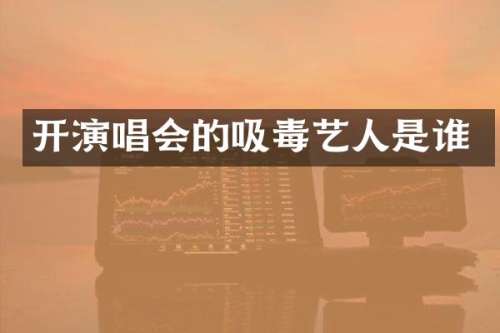 开演唱会的吸毒艺人是谁