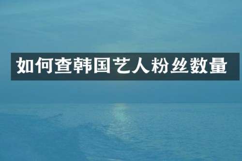 如何查韩国艺人粉丝数量