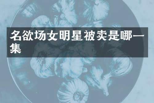 名欲场女明星被卖是哪一集