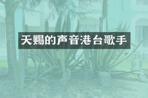 天赐的声音港台歌手