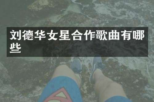 刘德华女星合作歌曲有哪些
