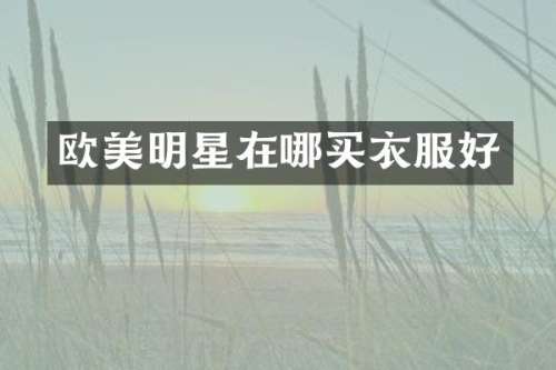 欧美明星在哪买衣服好