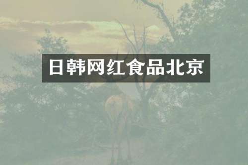 日韩网红食品北京