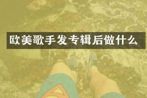 欧美歌手发专辑后做什么