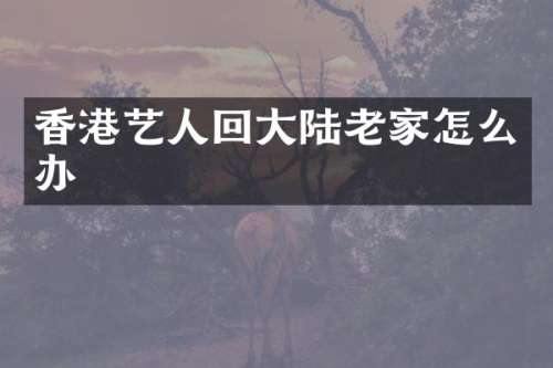 香港艺人回大陆老家怎么办