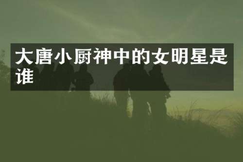 大唐小厨神中的女明星是谁