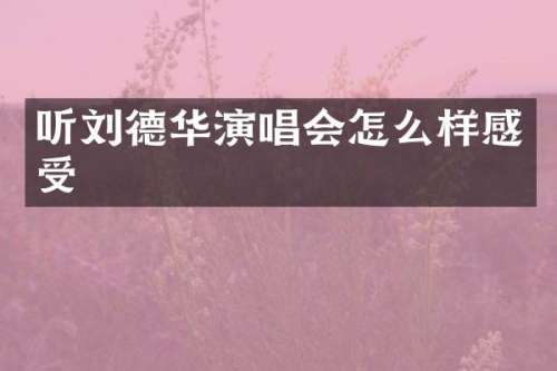 听刘德华演唱会怎么样感受