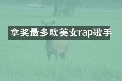拿奖最多欧rap歌手