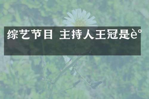 综艺节目 主持人王冠是谁