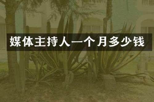 媒体主持人一个月多少钱