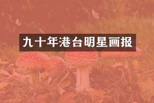 九十年港台明星画报