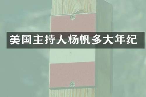 美国主持人杨帆多大年纪