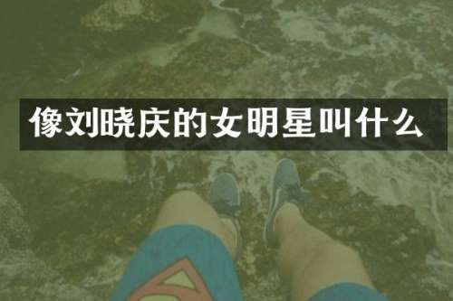像刘晓庆的女明星叫什么