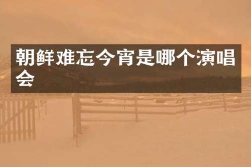 朝鲜难忘今宵是哪个演唱会