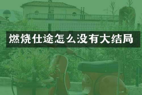 燃烧仕途怎么没有大结局