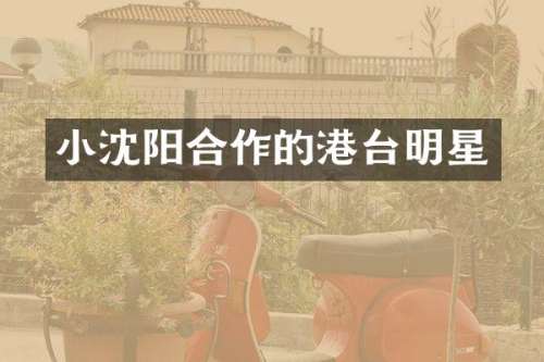 小沈阳合作的港台明星