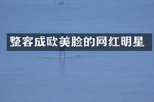 整容成欧美脸的网红明星