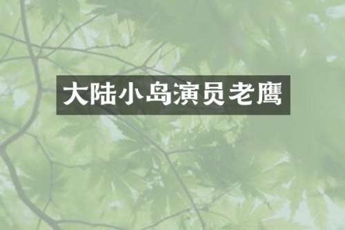 大陆小岛演员老鹰