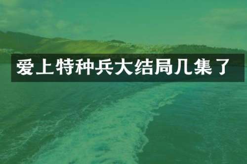 爱上特种兵大结局几集了