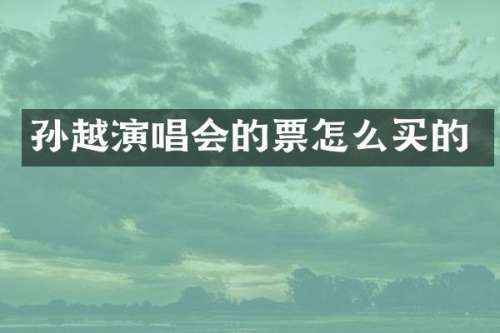 孙越演唱会的票怎么买的