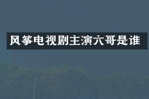 风筝电视剧主演六哥是谁
