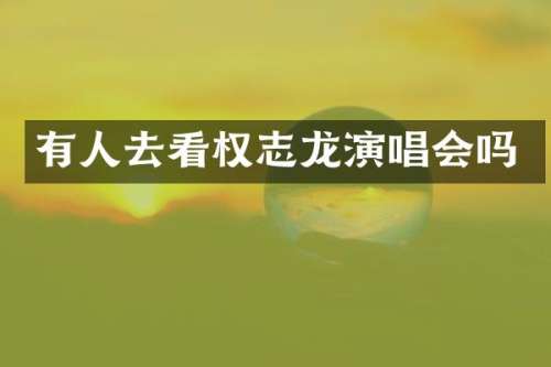 有人去看演唱会吗