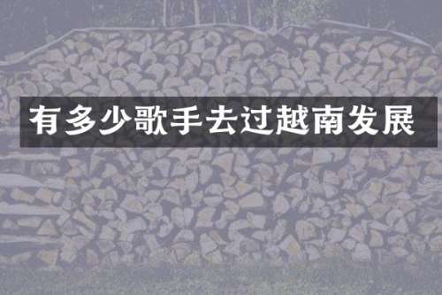 有多少歌手去过越南发展