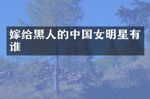 嫁给黑人的中国女明星有谁