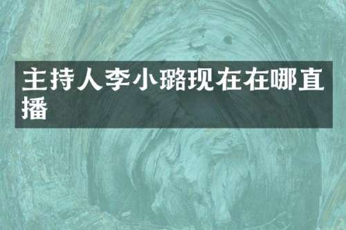 主持人李小璐现在在哪直播