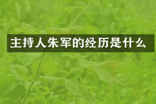 主持人朱军的经历是什么