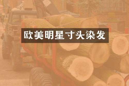 欧美明星寸头染发