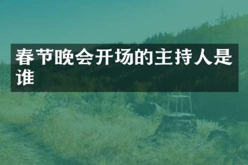 春节晚会开场的主持人是谁