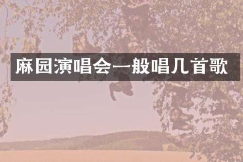 麻园演唱会一般唱几首歌