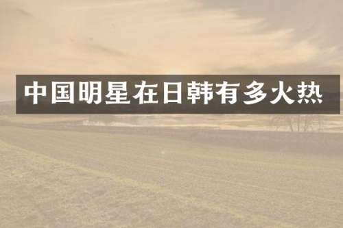 中国明星在日韩有多火热