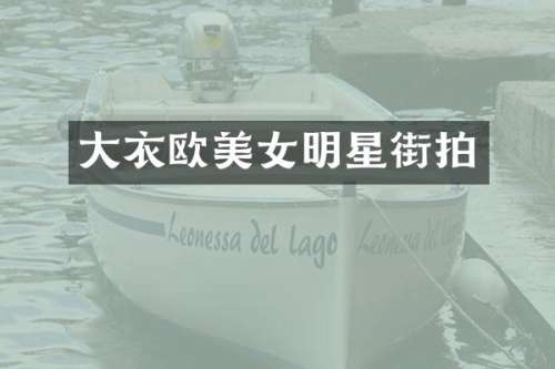大衣欧明星街拍