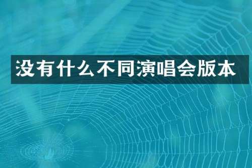 没有什么不同演唱会版本