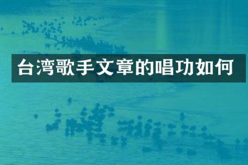 台湾歌手文章的唱功如何