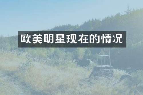 欧美明星现在的情况