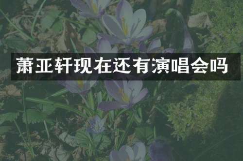 萧亚轩现在还有演唱会吗