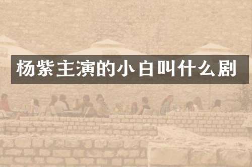 杨紫主演的小白叫什么剧