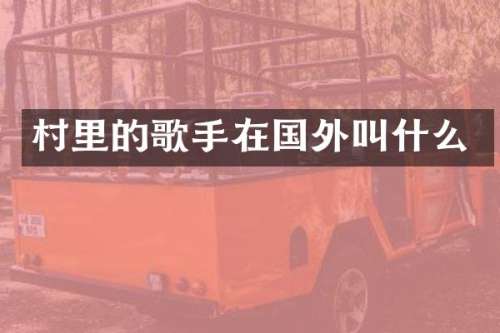 村里的歌手在国外叫什么