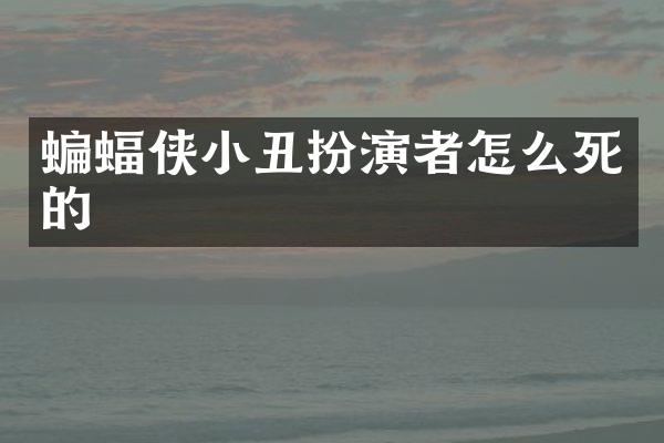 蝙蝠侠小丑扮演者怎么死的