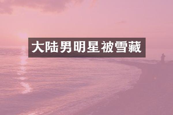 大陆男明星被雪藏
