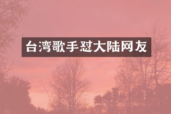 台湾歌手怼大陆网友