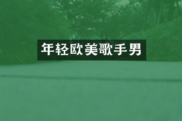 年轻欧美歌手男