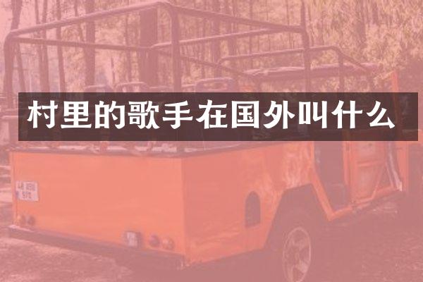 村里的歌手在国外叫什么