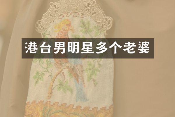 港台男明星多个老婆