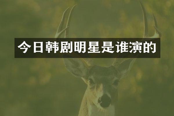 今日韩剧明星是谁演的