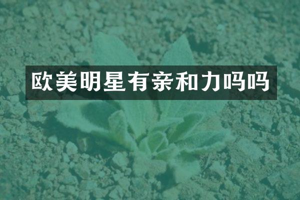 欧美明星有亲和力吗吗