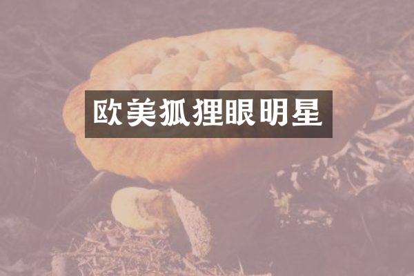 欧美狐狸眼明星